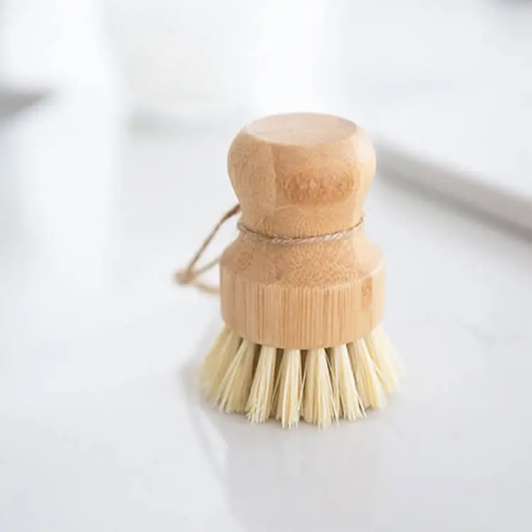 Beech Dish Brush with Coconut Bristles